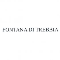 FONTANA DI TREBBIA