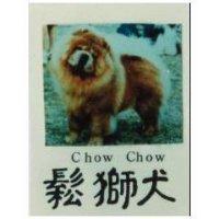 鬆獅犬 CHOW CHOW 及圖 