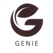GENIE 及圖