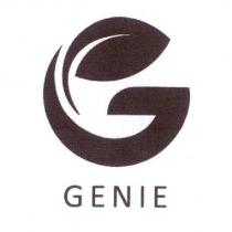GENIE 及圖