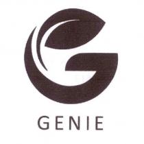 GENIE 及圖