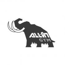 ALL IN GYM 及圖