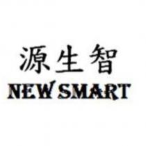 源生智 NEW SMART