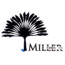 MILLER 米勒髮型 SPA