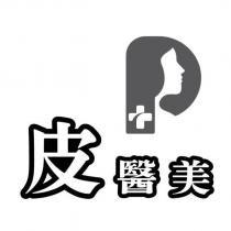 皮醫美及圖
