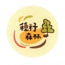 種籽森林及圖