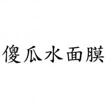 傻瓜水面膜