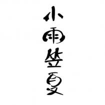 小雨笠夏