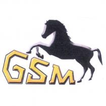 GSM 及圖