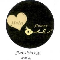 Hsin Flower Fun Hsin 欣欣凍齡花及圖