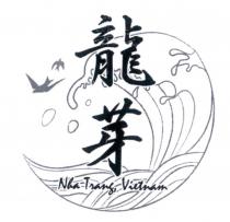 龍芽 Nha Trang Vietnam 及圖