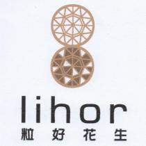 lihor 粒好花生 及圖