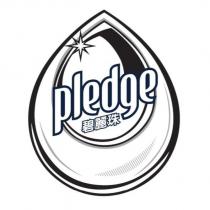 碧麗珠 PLEDGE & DESIGN - DOUBLE TEARDROP