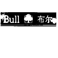 布爾 BULL DEVICE