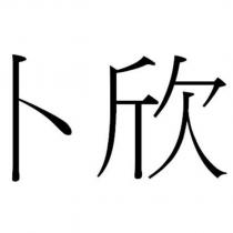 卜欣