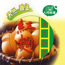 紅麴養生雞蛋及圖
