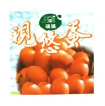 瑞溪 視悠蛋及圖