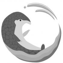 穿山甲設計圖