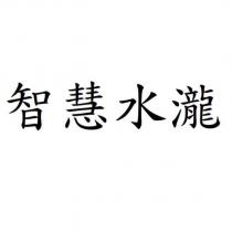 智慧水瀧