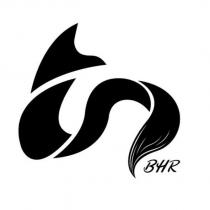 BHR 及圖