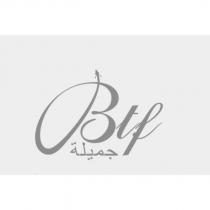 Btf 設計圖及漂亮