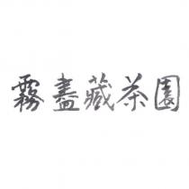 霧盡藏茶園