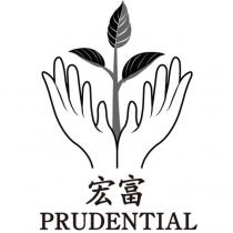 宏富 PRUDENTIAL 及手與苗圖