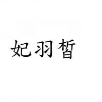 妃羽皙
