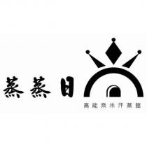 蒸蒸日高能奈米汗蒸館及圖