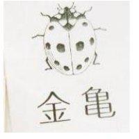 金龜及圖