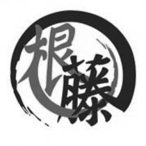 根藤設計圖