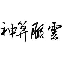 神算脈雲