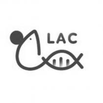 LAC 與設計圖