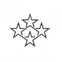 連星科技有限公司標章圖