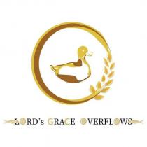 LORD's GRACE OVERFLOWS 及圖