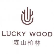 LUCKY WOOD 森山柏林及圖