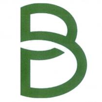 BP 設計圖