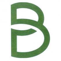 BP 設計圖