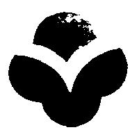 蒸蒸日上創意圖
