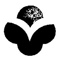 蒸蒸日上創意圖