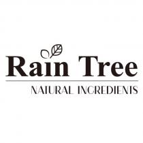 Rain Tree 雨樹