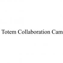 Totem Collaboration Cam