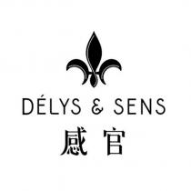 DELYS &SENS 感官及圖