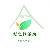 杉之林茶坊 FIR FOREST