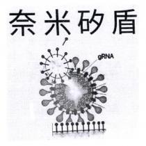 奈米矽盾設計字及圖