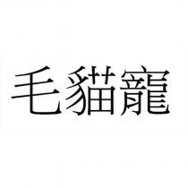 毛貓寵