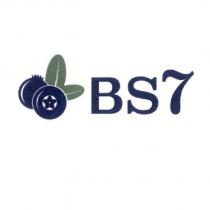BS7 及圖