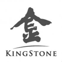 金 KINGSTONE 及圖