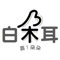 白朵耳嘉 1 朵朵