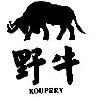 野牛及圖 KOUPREY